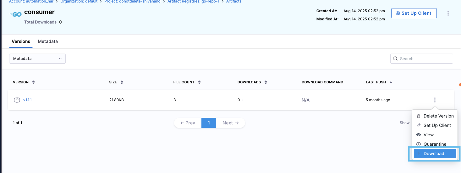 Download option in the three-dot menu for an artifact
